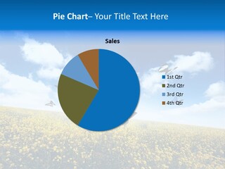 Sundown Yellow Horizon PowerPoint Template