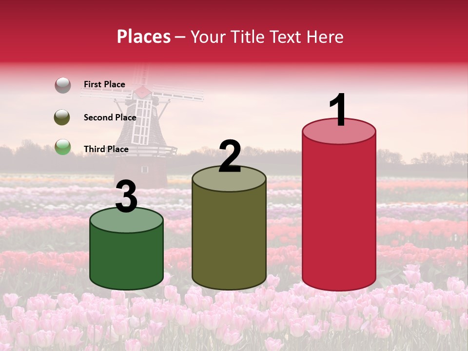 Night Country Forest PowerPoint Template