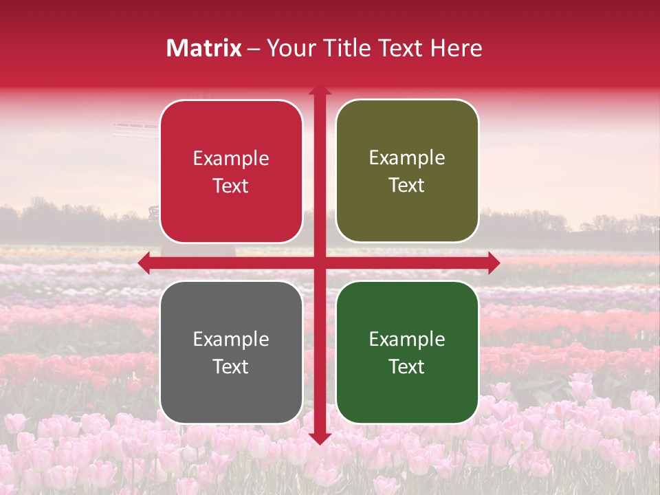 Night Country Forest PowerPoint Template