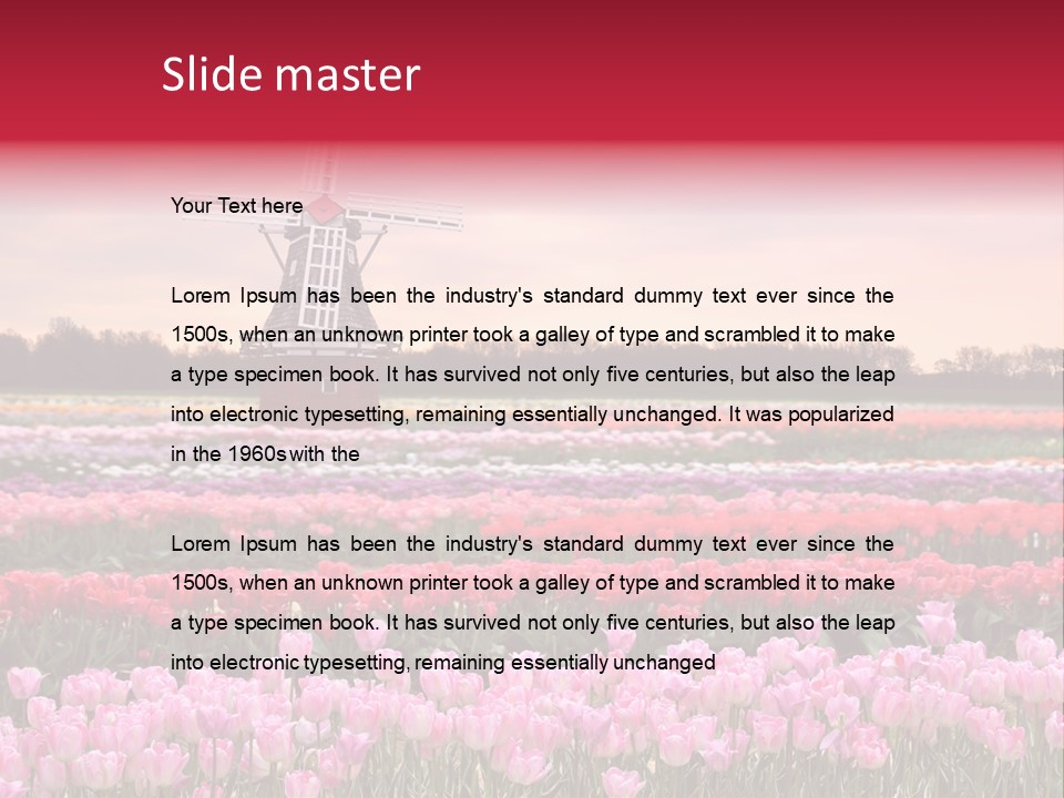 Night Country Forest PowerPoint Template