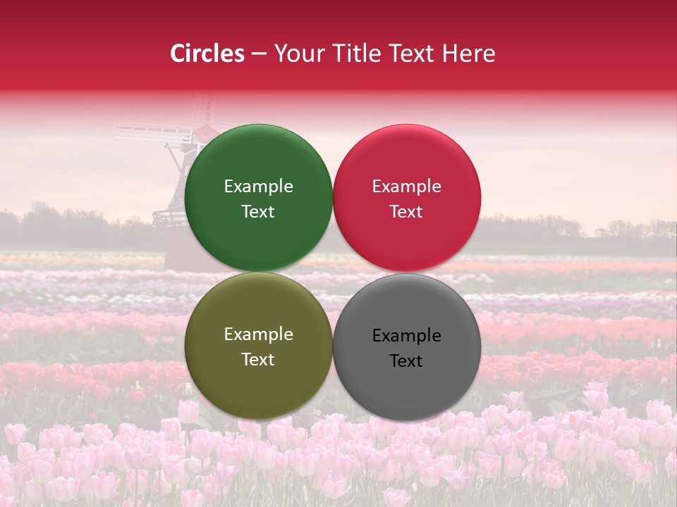 Night Country Forest PowerPoint Template