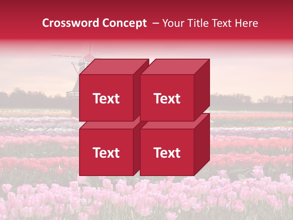 Night Country Forest PowerPoint Template