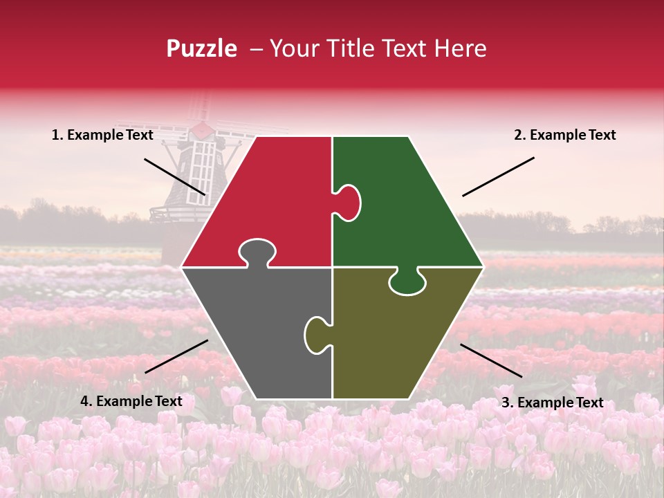 Night Country Forest PowerPoint Template