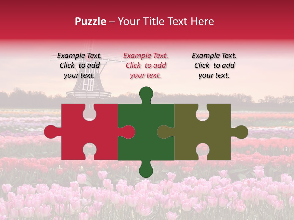 Night Country Forest PowerPoint Template