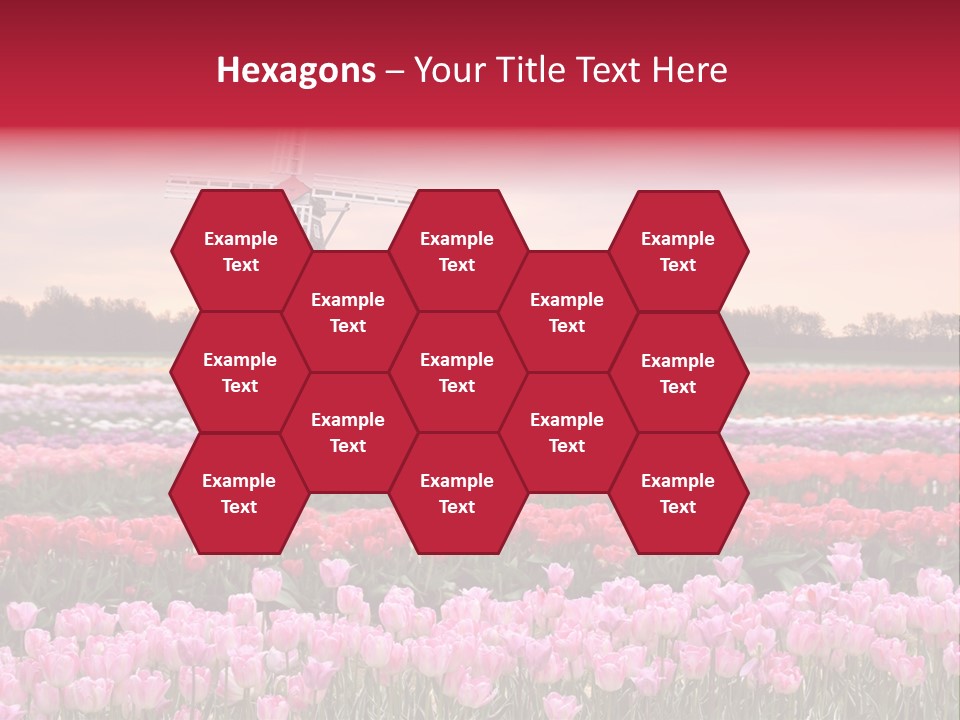 Night Country Forest PowerPoint Template