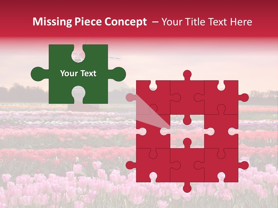 Night Country Forest PowerPoint Template