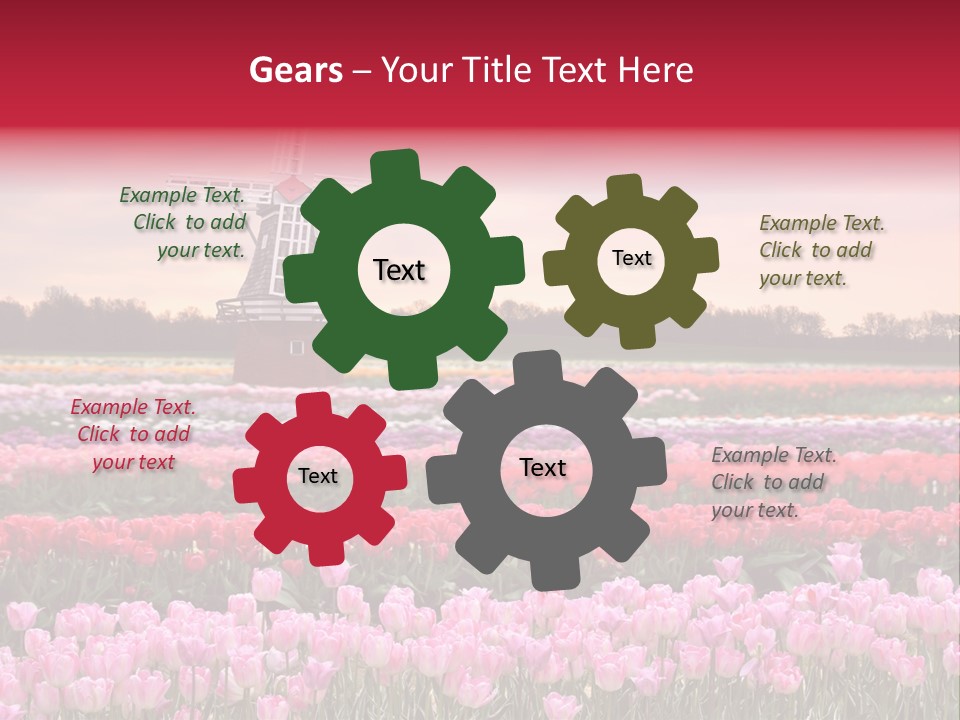 Night Country Forest PowerPoint Template