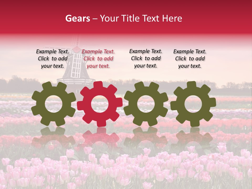 Night Country Forest PowerPoint Template