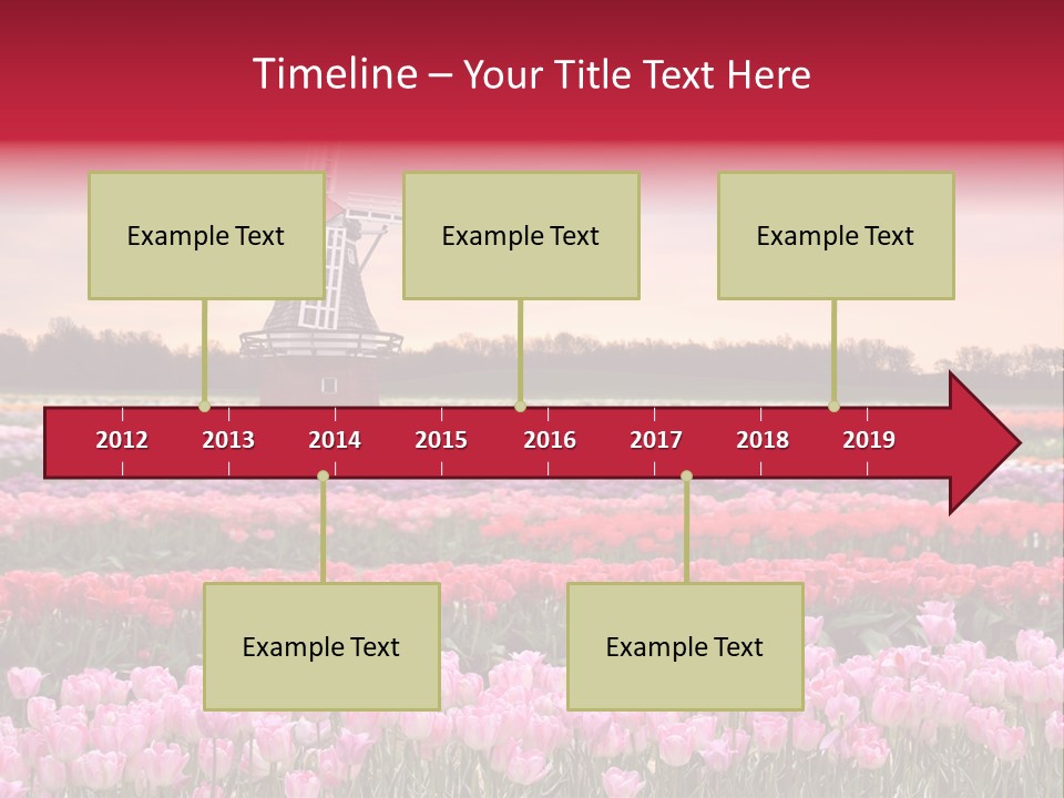 Night Country Forest PowerPoint Template