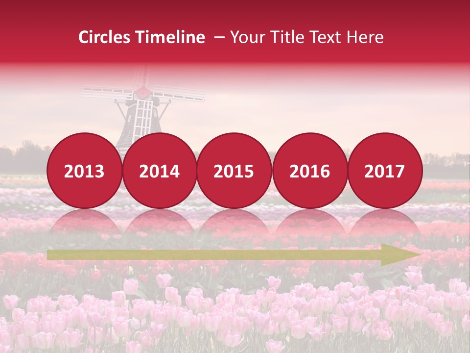 Night Country Forest PowerPoint Template