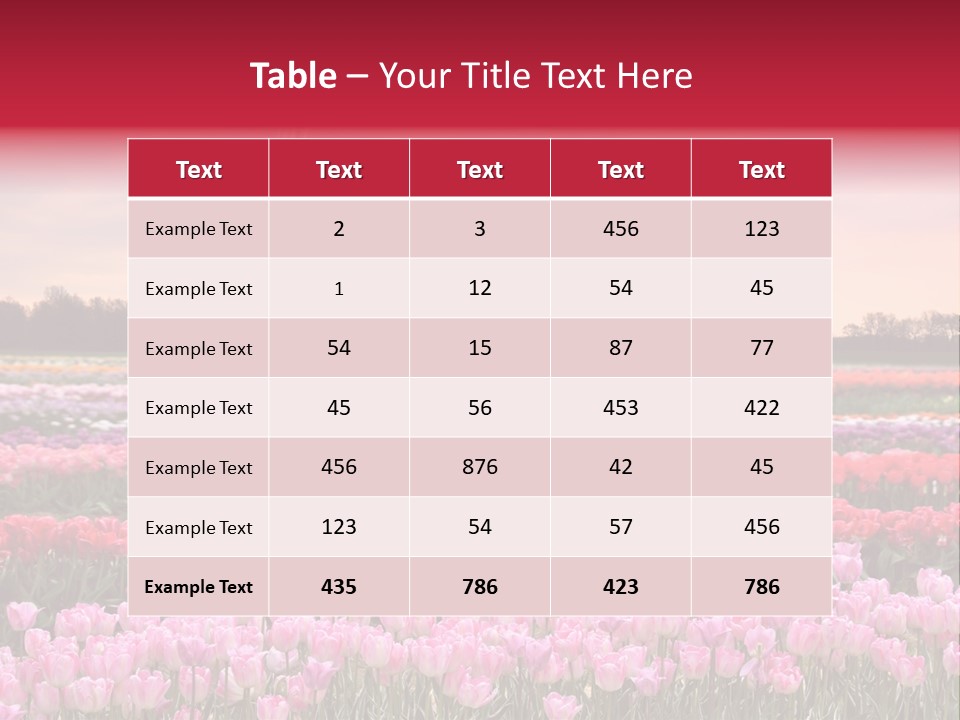 Night Country Forest PowerPoint Template
