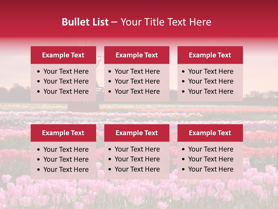 Night Country Forest PowerPoint Template
