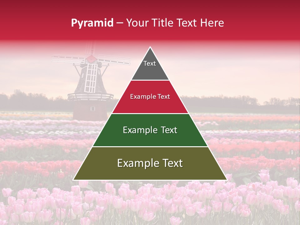 Night Country Forest PowerPoint Template