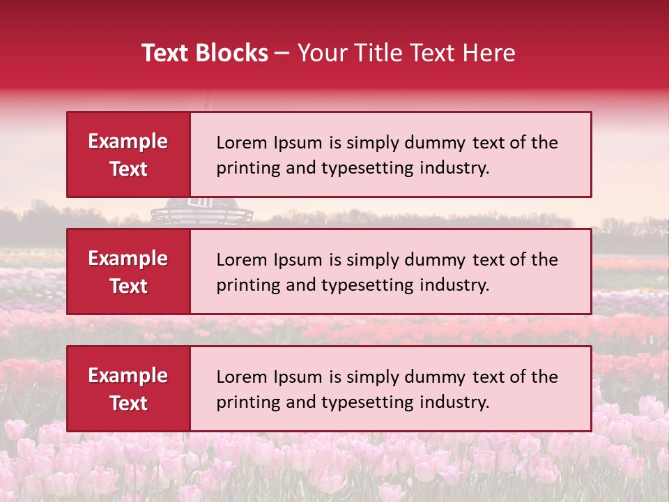 Night Country Forest PowerPoint Template