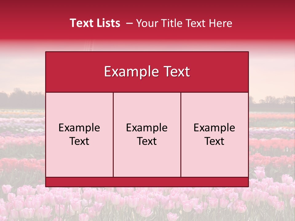 Night Country Forest PowerPoint Template