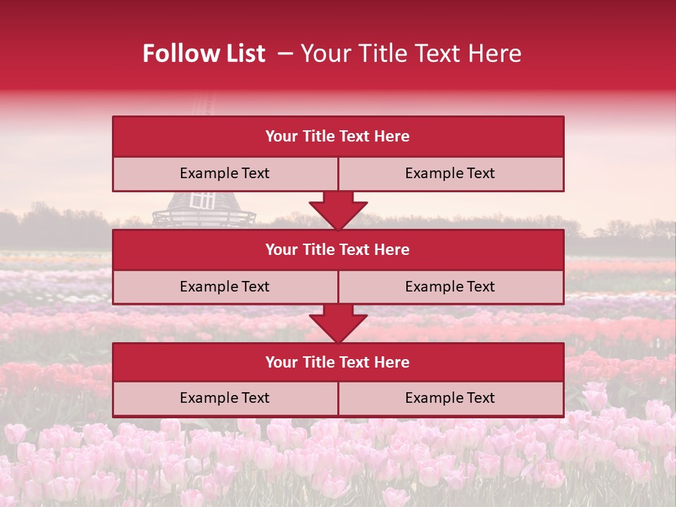 Night Country Forest PowerPoint Template