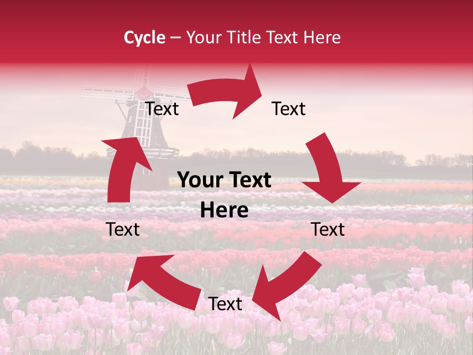 Night Country Forest PowerPoint Template