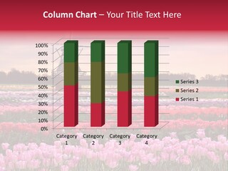 Night Country Forest PowerPoint Template