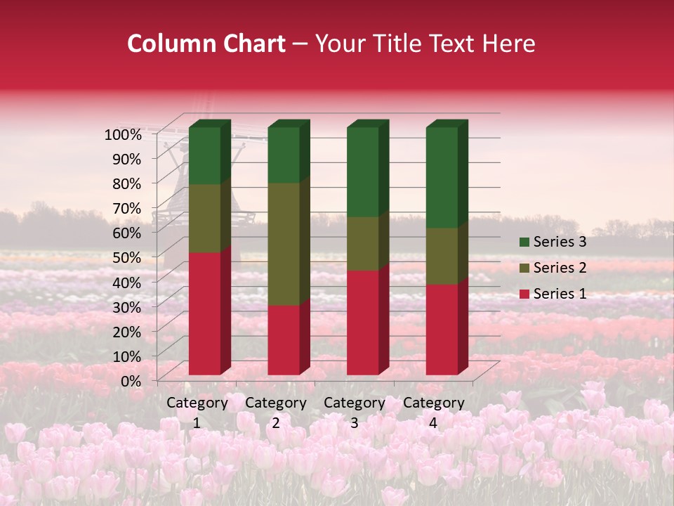 Night Country Forest PowerPoint Template
