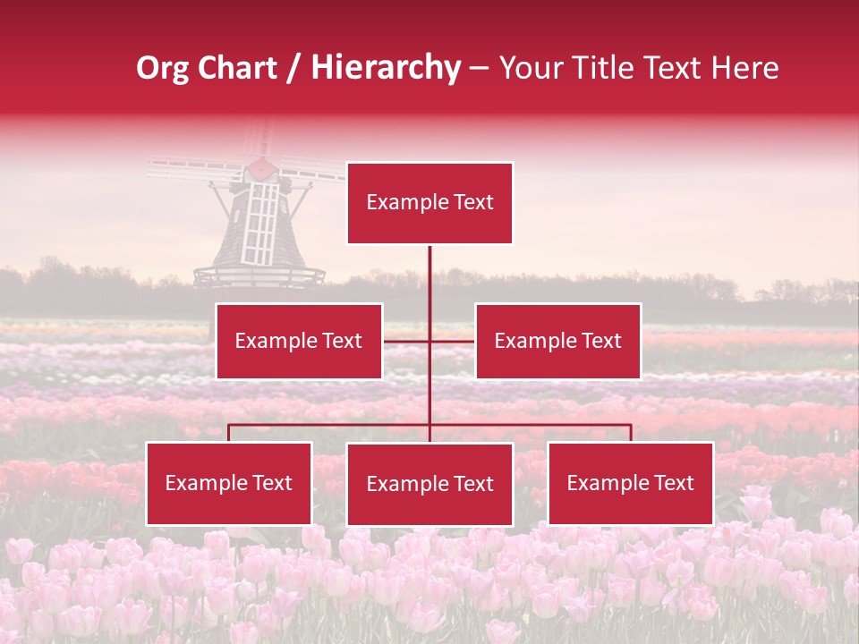 Night Country Forest PowerPoint Template