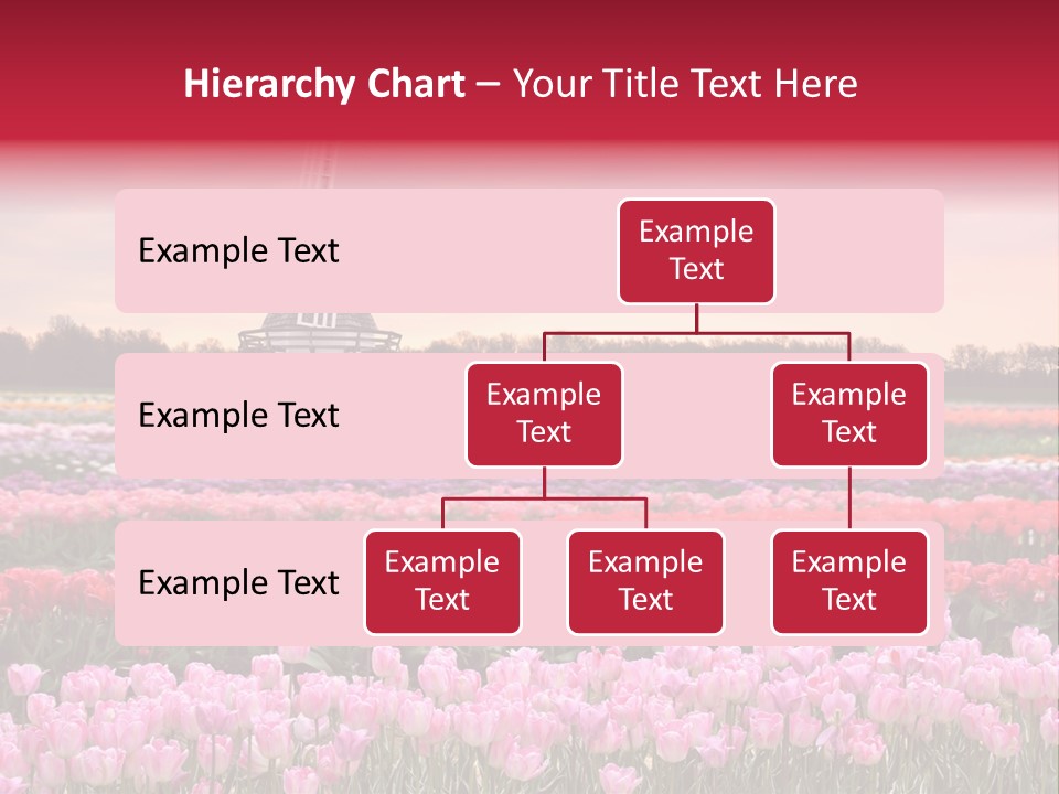 Night Country Forest PowerPoint Template