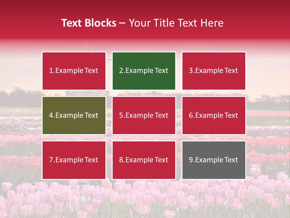 Night Country Forest PowerPoint Template
