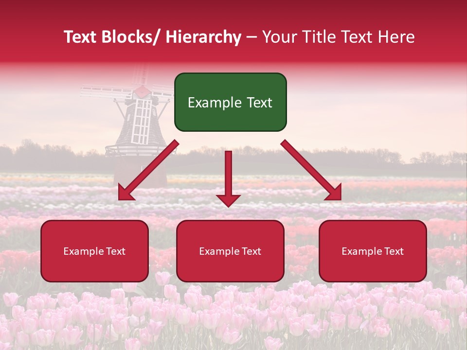 Night Country Forest PowerPoint Template