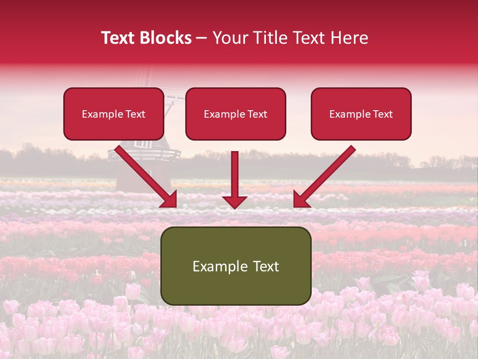 Night Country Forest PowerPoint Template