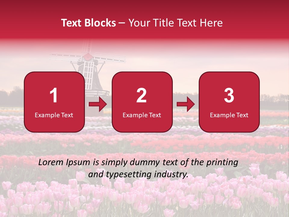 Night Country Forest PowerPoint Template