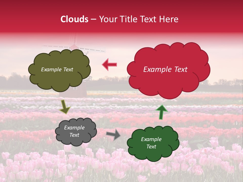 Night Country Forest PowerPoint Template