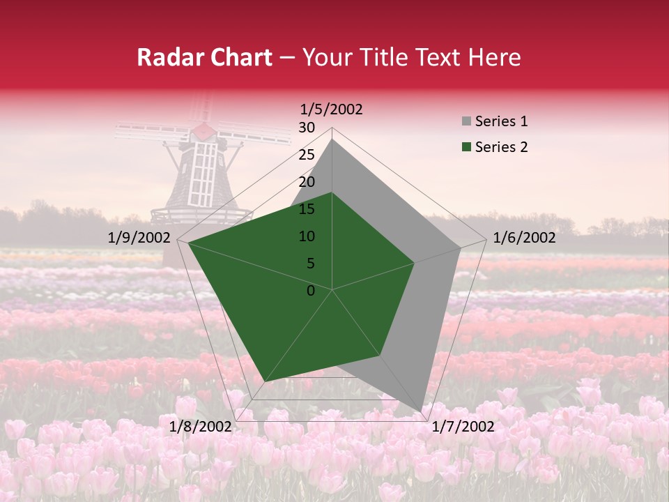 Night Country Forest PowerPoint Template