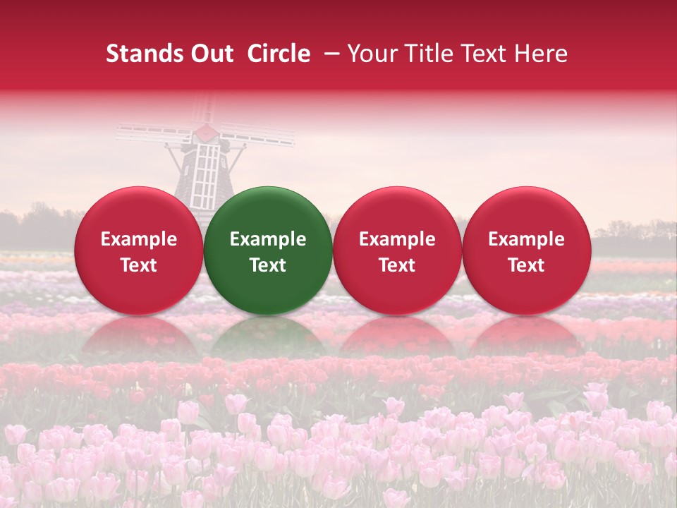 Night Country Forest PowerPoint Template