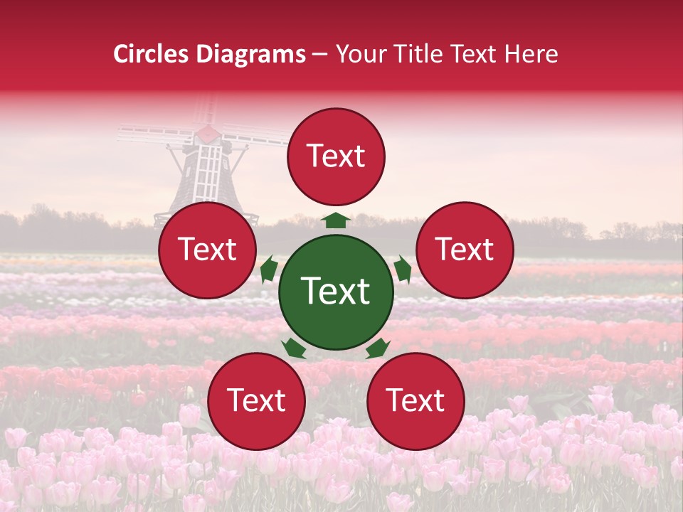 Night Country Forest PowerPoint Template