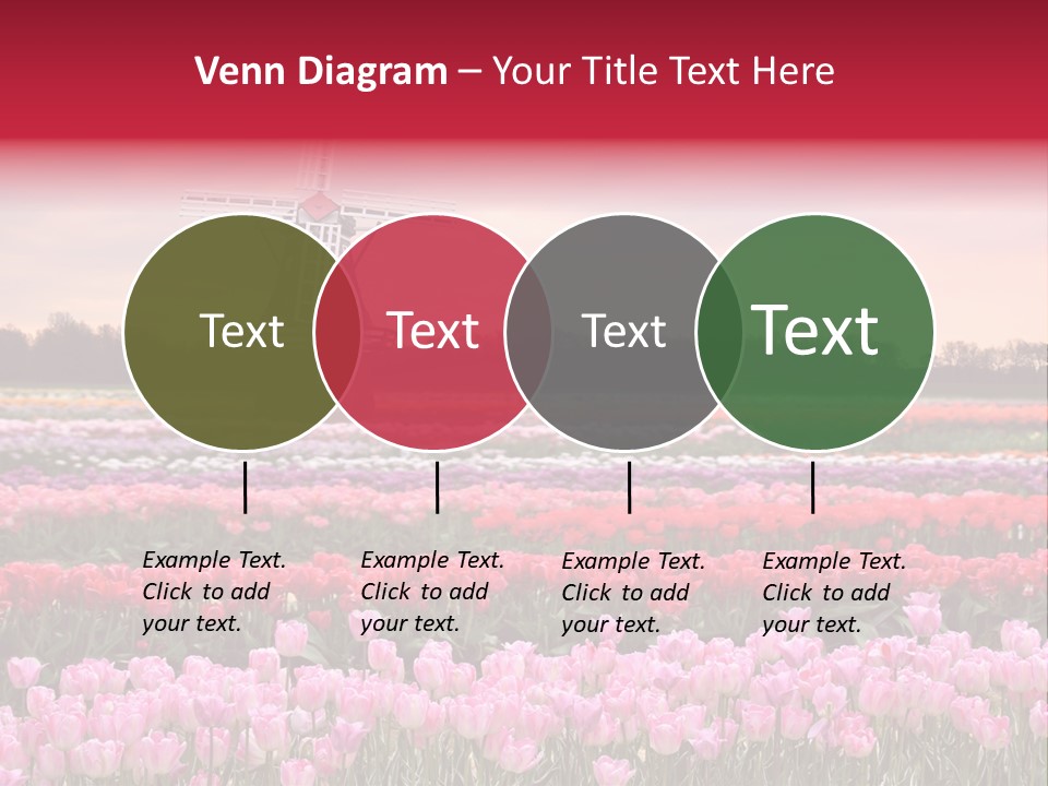 Night Country Forest PowerPoint Template