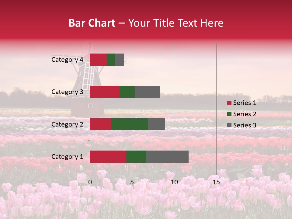 Night Country Forest PowerPoint Template