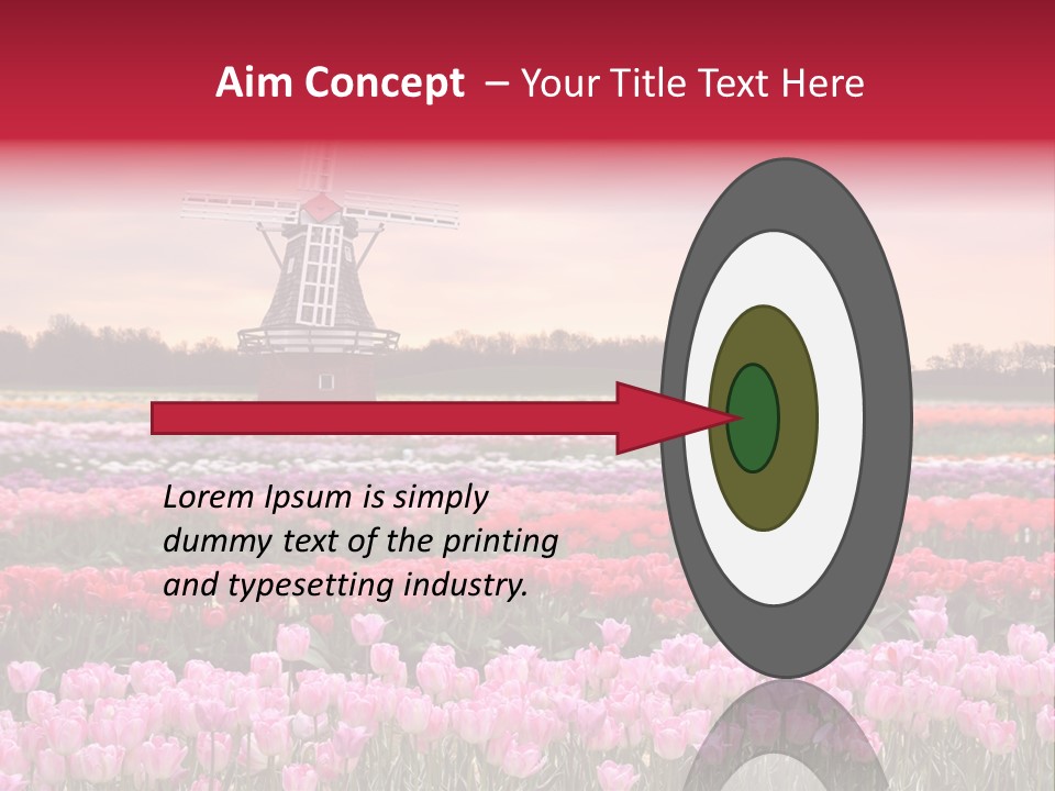 Night Country Forest PowerPoint Template