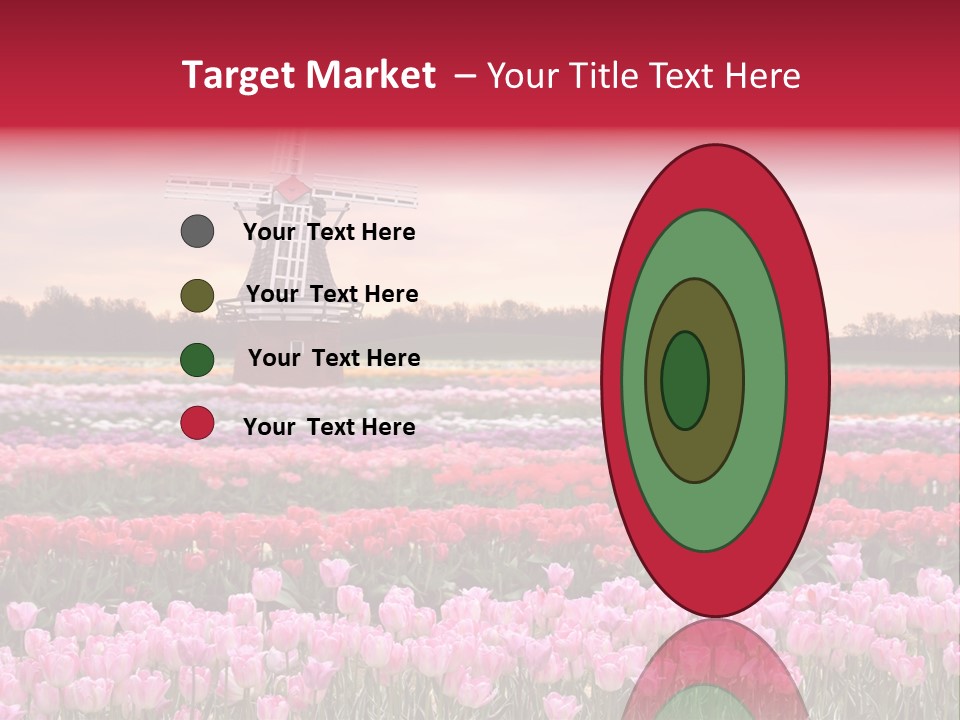 Night Country Forest PowerPoint Template