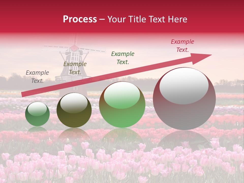 Night Country Forest PowerPoint Template