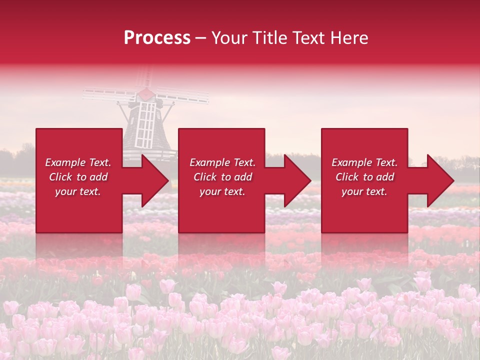 Night Country Forest PowerPoint Template
