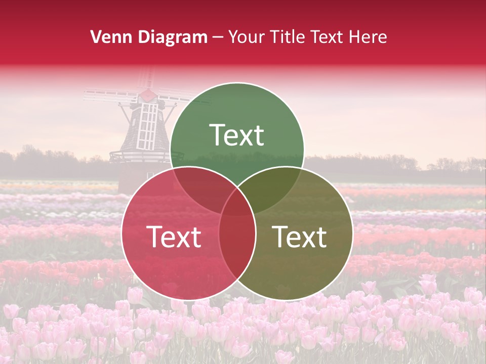 Night Country Forest PowerPoint Template