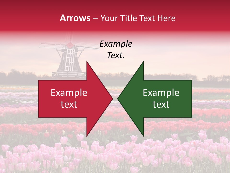 Night Country Forest PowerPoint Template