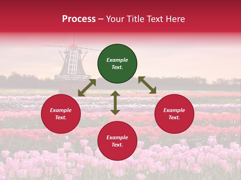 Night Country Forest PowerPoint Template