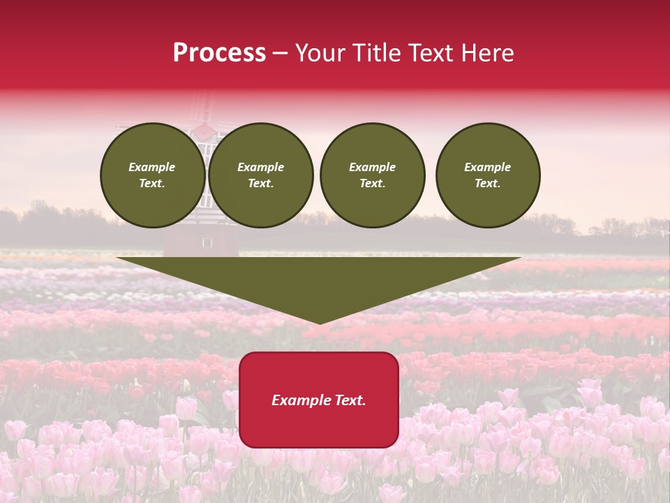 Night Country Forest PowerPoint Template