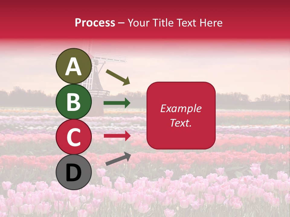 Night Country Forest PowerPoint Template