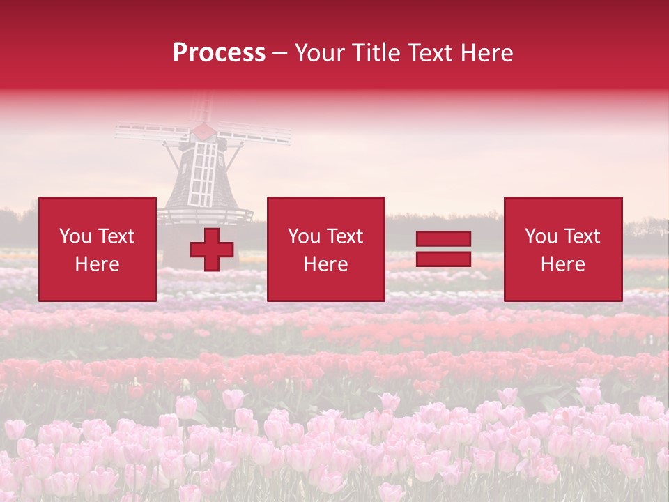 Night Country Forest PowerPoint Template