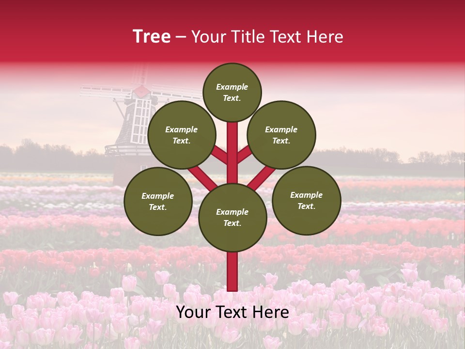 Night Country Forest PowerPoint Template