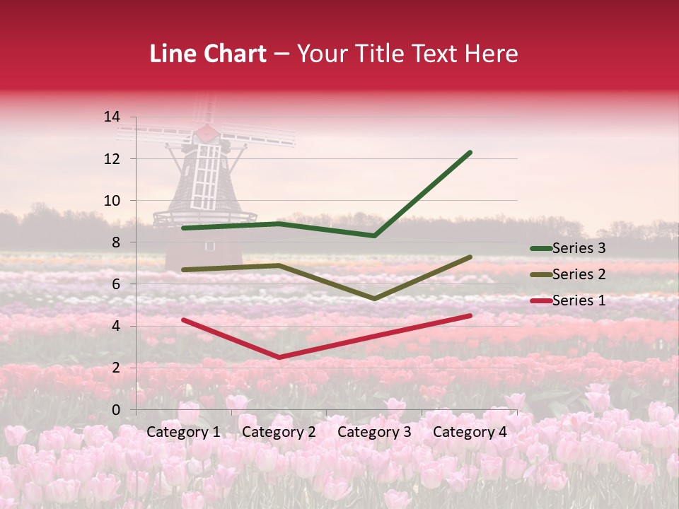 Night Country Forest PowerPoint Template