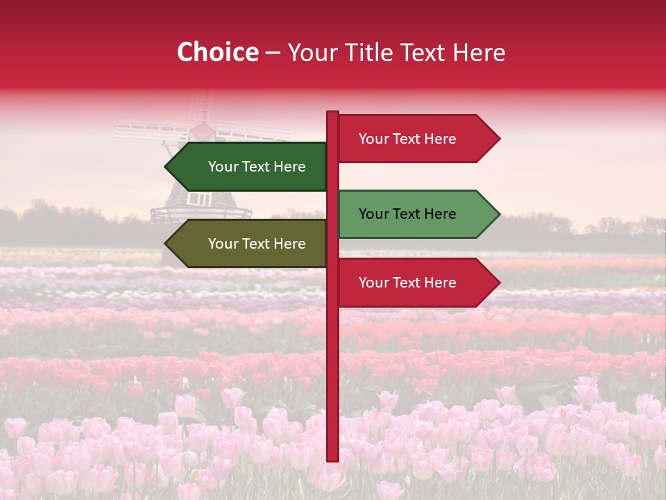 Night Country Forest PowerPoint Template
