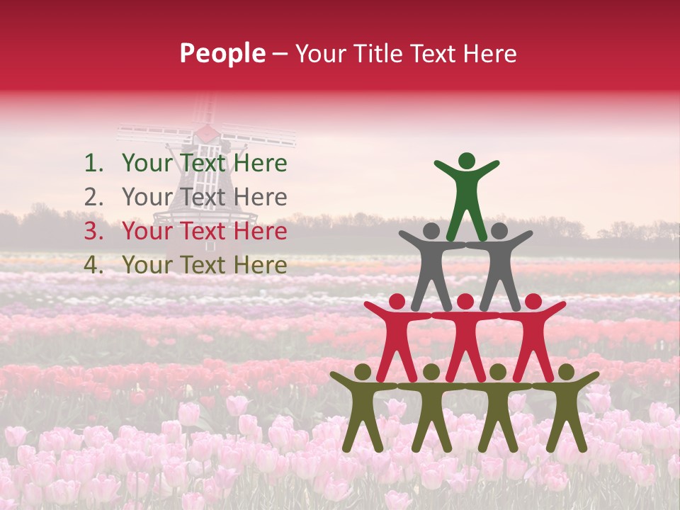 Night Country Forest PowerPoint Template