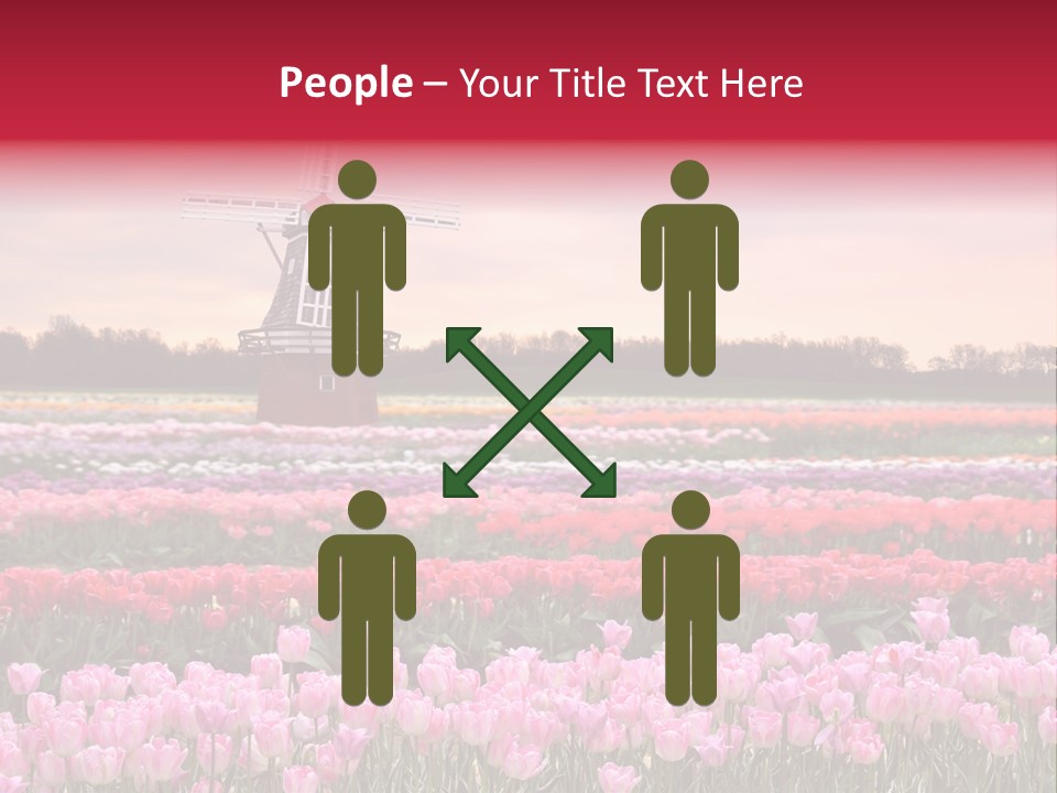 Night Country Forest PowerPoint Template